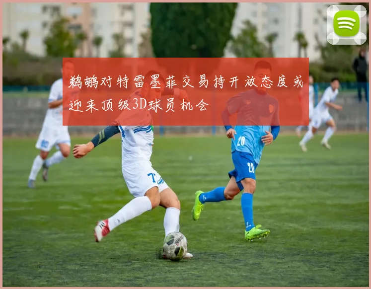 鹈鹕对特雷墨菲交易持开放态度或迎来顶级3D球员机会